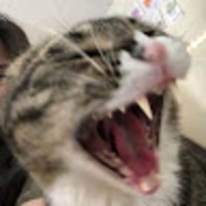 Meet your Posher, Karl